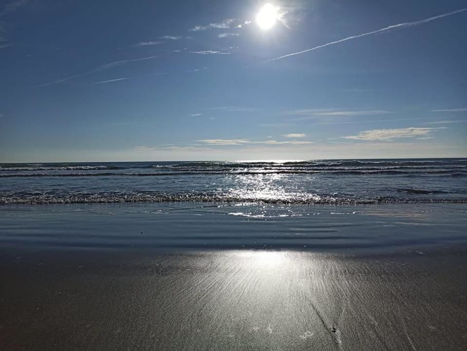Отели типа «постель и завтрак» Apart-Luxury accommodation&beach Улцинь-28